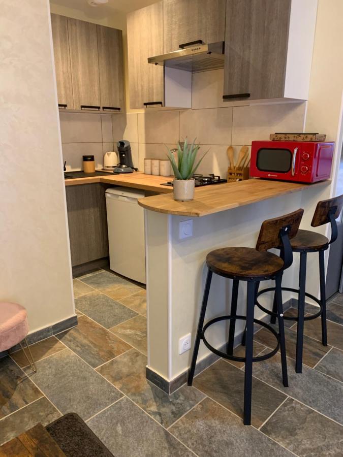 Studio Independant Avec Piscine Et Jardin L'Abergement-Sainte-Colombe Zewnętrze zdjęcie